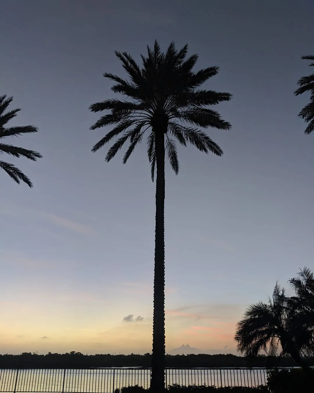 Teresa Lowe portrait